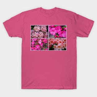 An Assembly of Azaleas T-Shirt